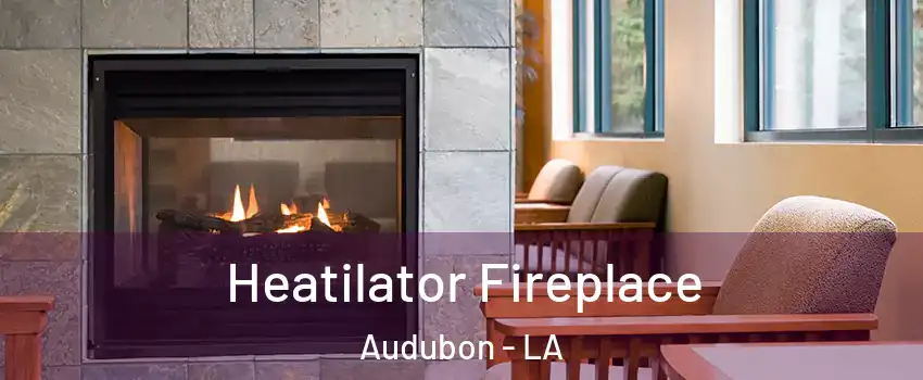 Heatilator Fireplace Audubon - LA