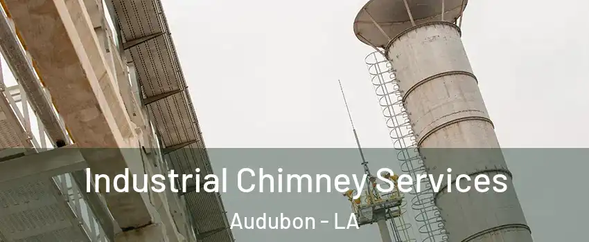 Industrial Chimney Services Audubon - LA