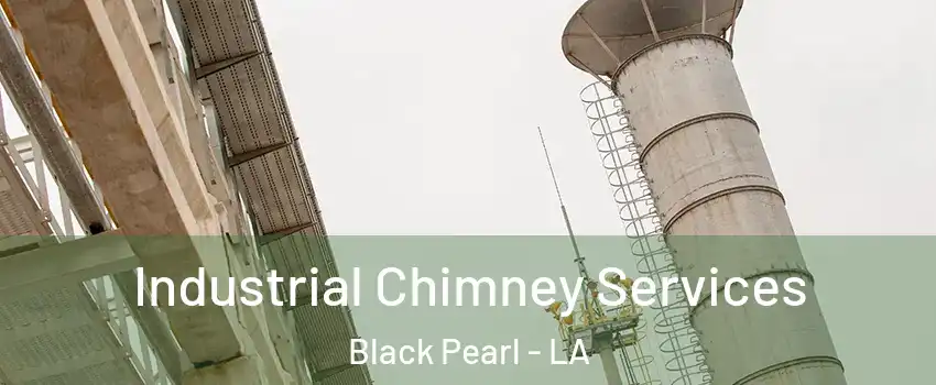 Industrial Chimney Services Black Pearl - LA