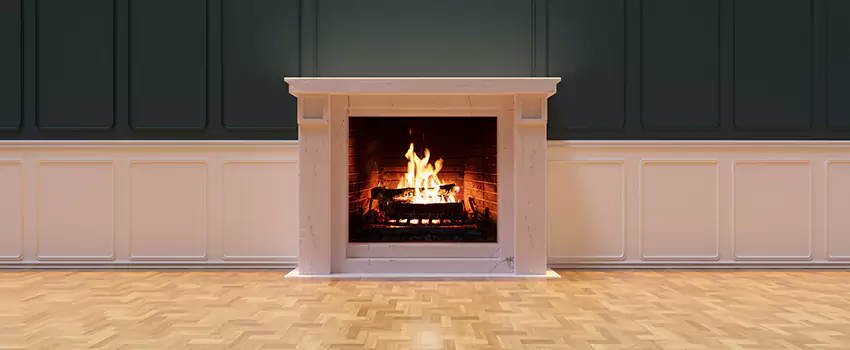 Napoleon Electric Fireplaces Inspection Service in Uptown, Louisiana