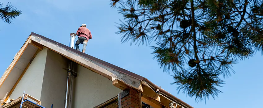 Birds Removal Contractors from Chimney in Uptown, LA