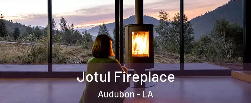 Jotul Fireplace Audubon - LA