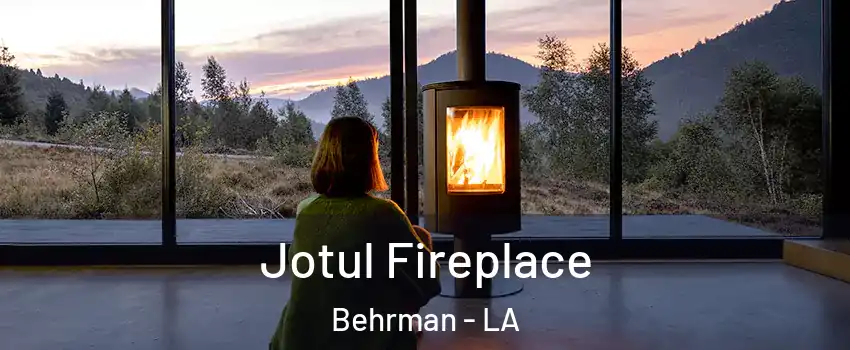 Jotul Fireplace Behrman - LA