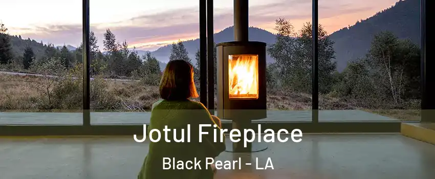 Jotul Fireplace Black Pearl - LA