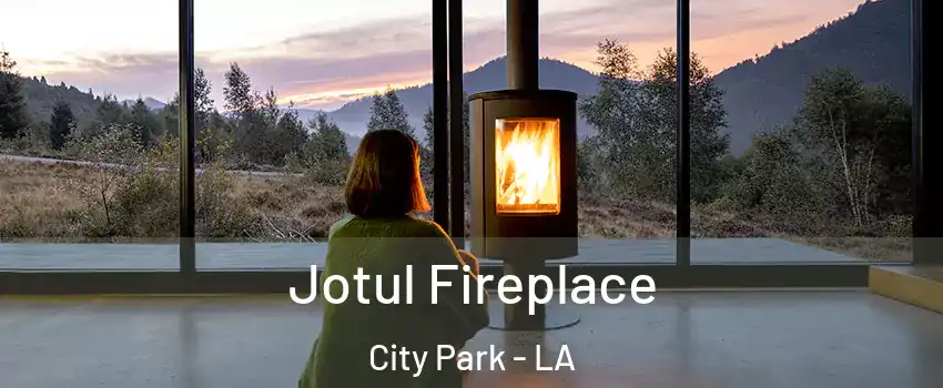 Jotul Fireplace City Park - LA