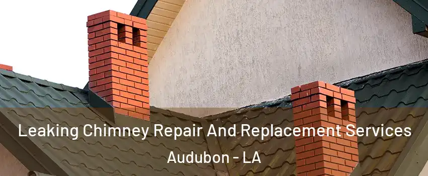 Leaking Chimney Repair And Replacement Services Audubon - LA