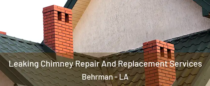 Leaking Chimney Repair And Replacement Services Behrman - LA