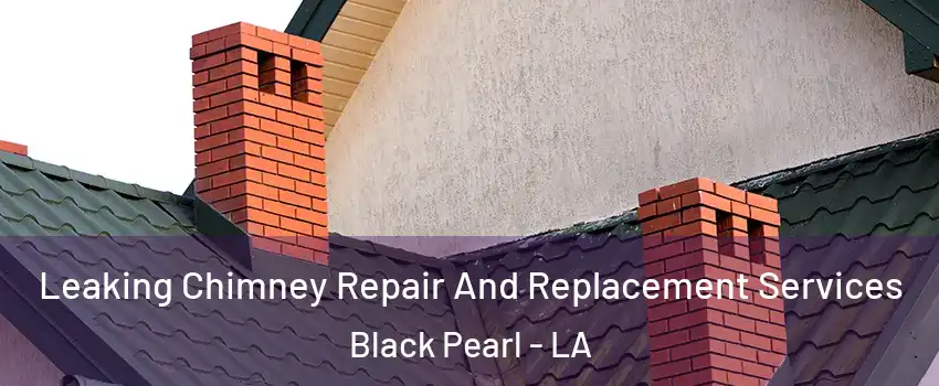 Leaking Chimney Repair And Replacement Services Black Pearl - LA