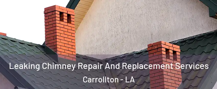 Leaking Chimney Repair And Replacement Services Carrollton - LA