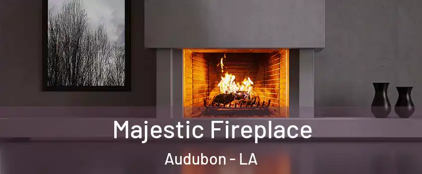 Majestic Fireplace Audubon - LA