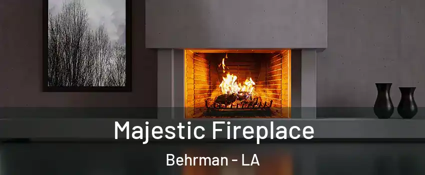 Majestic Fireplace Behrman - LA