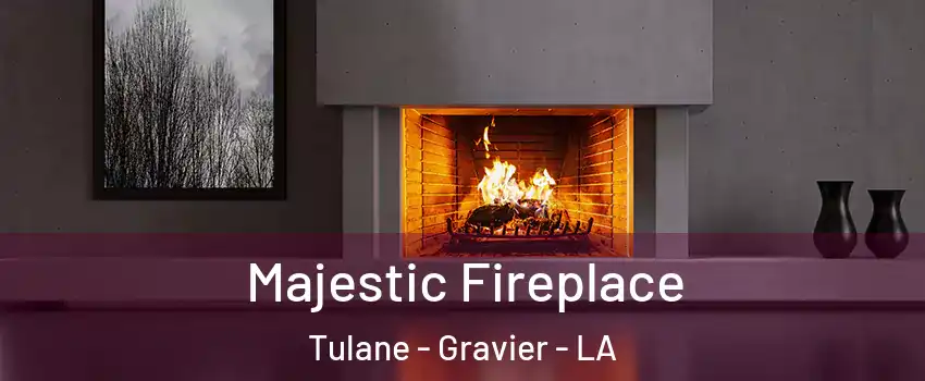 Majestic Fireplace Tulane - Gravier - LA