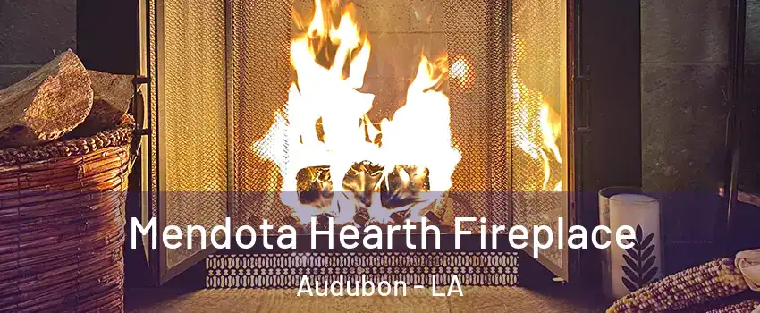 Mendota Hearth Fireplace Audubon - LA