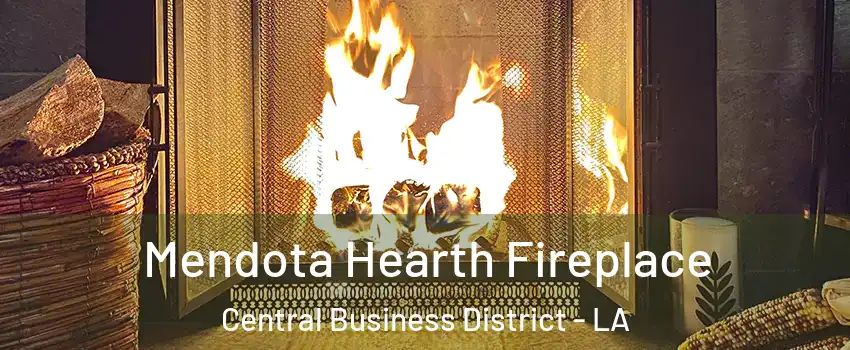 Mendota Hearth Fireplace Central Business District - LA