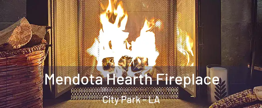 Mendota Hearth Fireplace City Park - LA