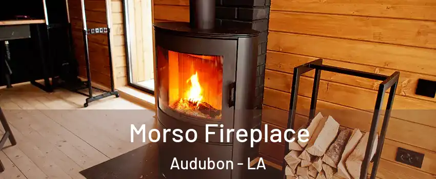 Morso Fireplace Audubon - LA