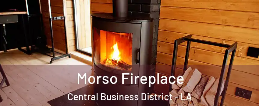 Morso Fireplace Central Business District - LA