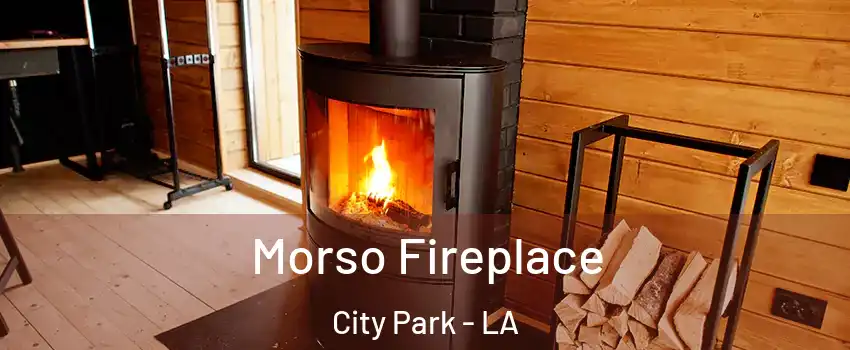 Morso Fireplace City Park - LA