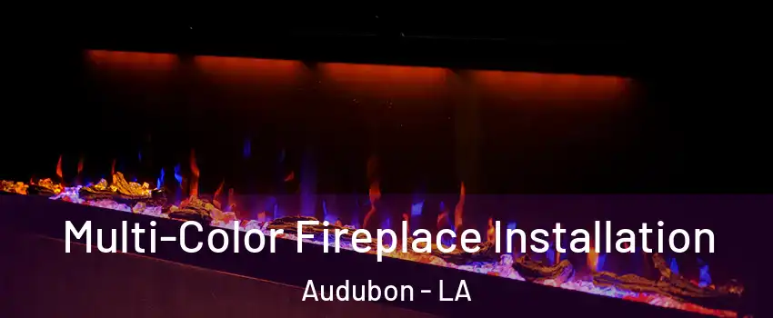 Multi-Color Fireplace Installation Audubon - LA