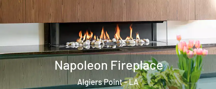 Napoleon Fireplace Algiers Point - LA