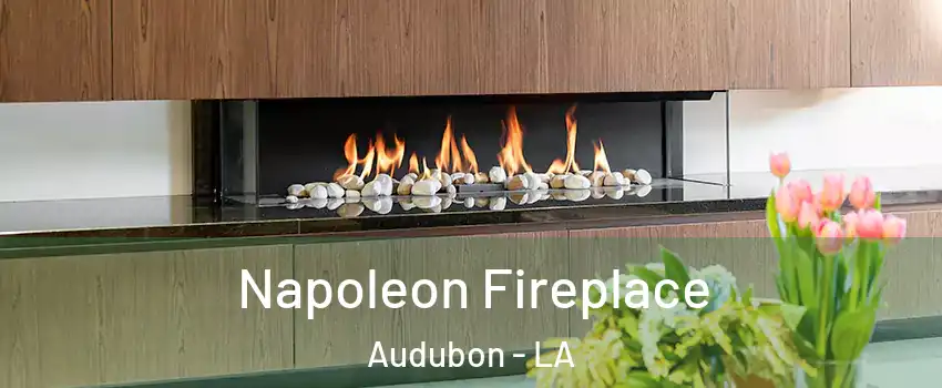 Napoleon Fireplace Audubon - LA