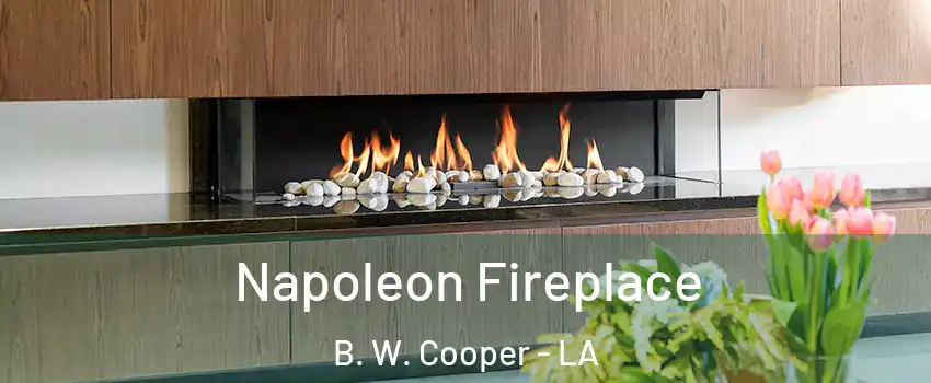 Napoleon Fireplace B. W. Cooper - LA