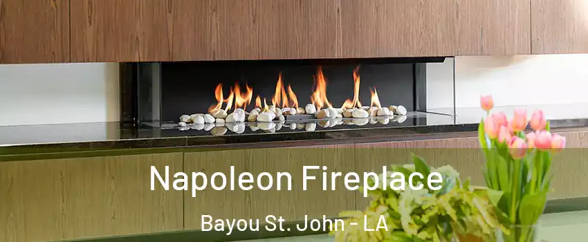 Napoleon Fireplace Bayou St. John - LA