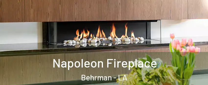 Napoleon Fireplace Behrman - LA