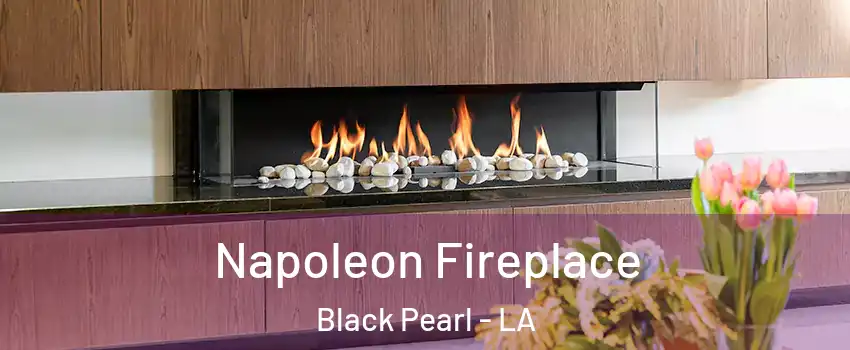 Napoleon Fireplace Black Pearl - LA