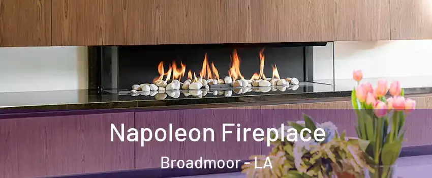 Napoleon Fireplace Broadmoor - LA