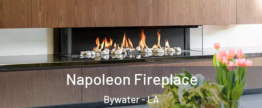 Napoleon Fireplace Bywater - LA