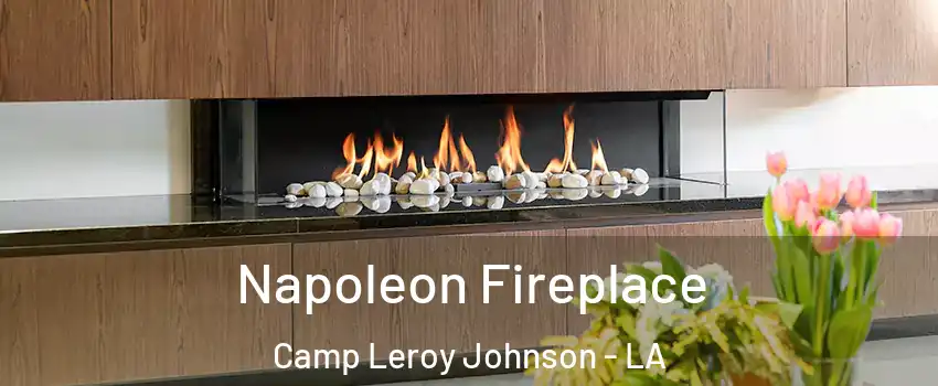 Napoleon Fireplace Camp Leroy Johnson - LA