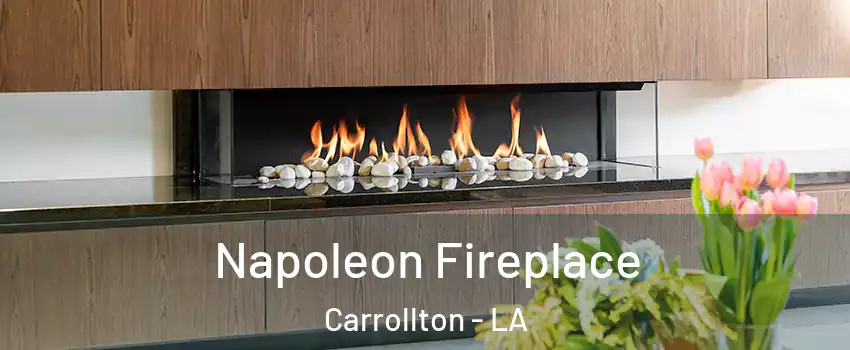 Napoleon Fireplace Carrollton - LA