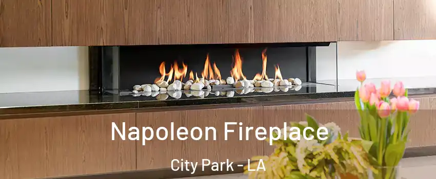 Napoleon Fireplace City Park - LA