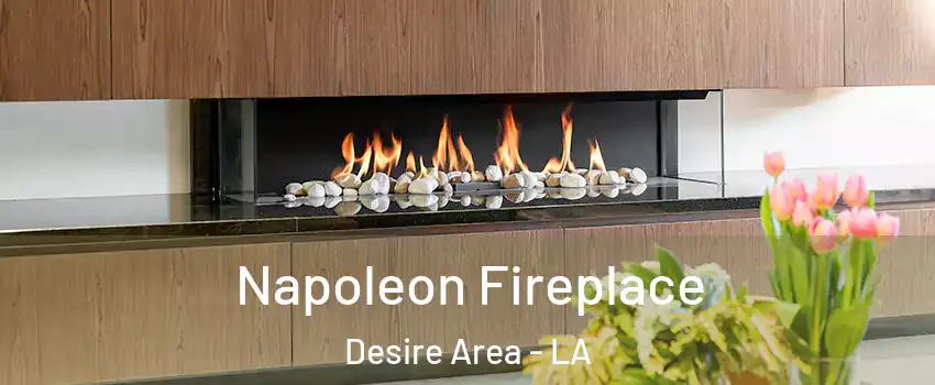 Napoleon Fireplace Desire Area - LA