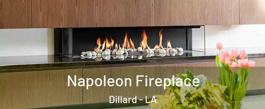 Napoleon Fireplace Dillard - LA