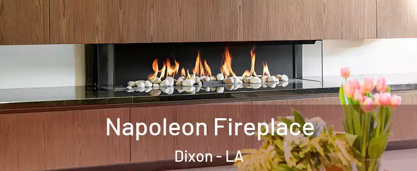 Napoleon Fireplace Dixon - LA