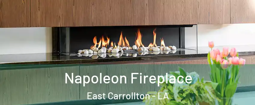 Napoleon Fireplace East Carrollton - LA