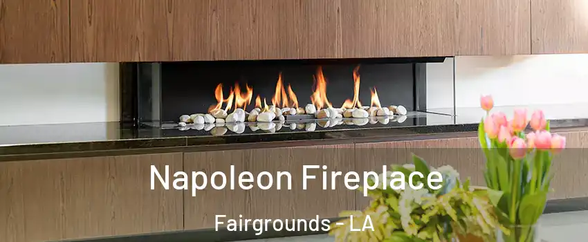 Napoleon Fireplace Fairgrounds - LA