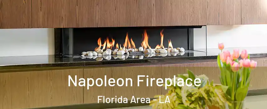 Napoleon Fireplace Florida Area - LA