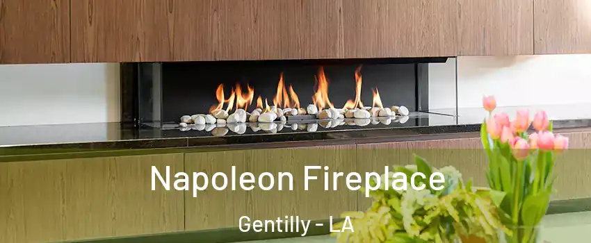 Napoleon Fireplace Gentilly - LA