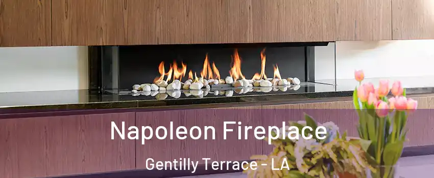 Napoleon Fireplace Gentilly Terrace - LA