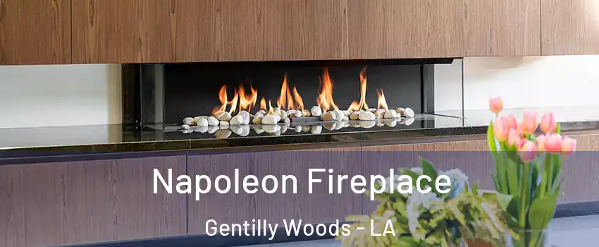 Napoleon Fireplace Gentilly Woods - LA