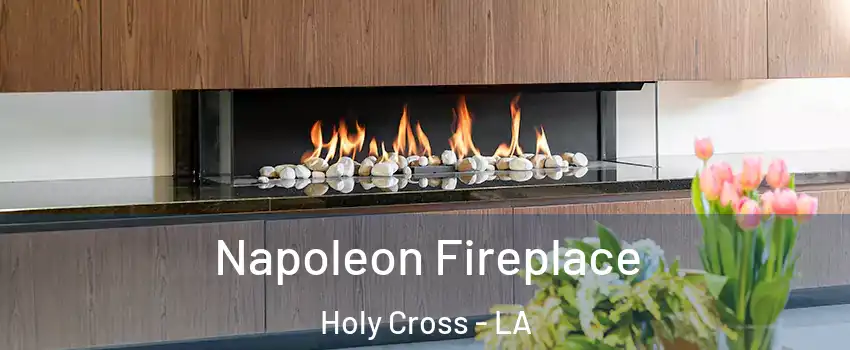 Napoleon Fireplace Holy Cross - LA