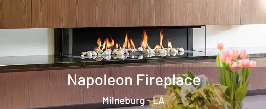 Napoleon Fireplace Milneburg - LA