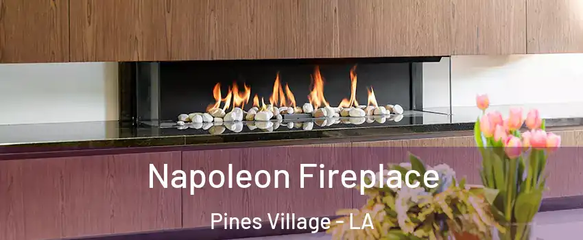 Napoleon Fireplace Pines Village - LA