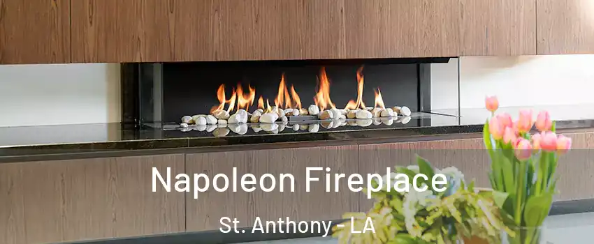 Napoleon Fireplace St. Anthony - LA