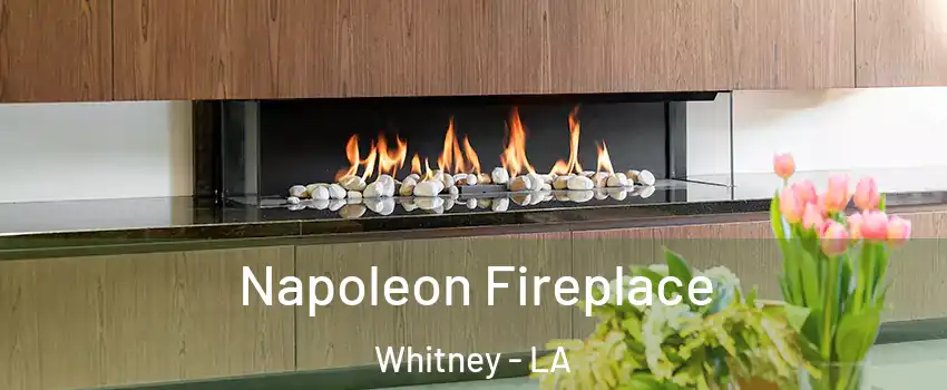 Napoleon Fireplace Whitney - LA