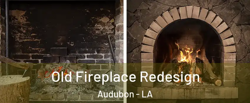 Old Fireplace Redesign Audubon - LA