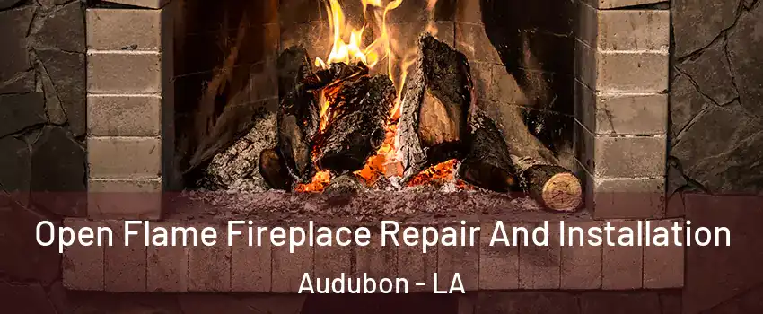 Open Flame Fireplace Repair And Installation Audubon - LA